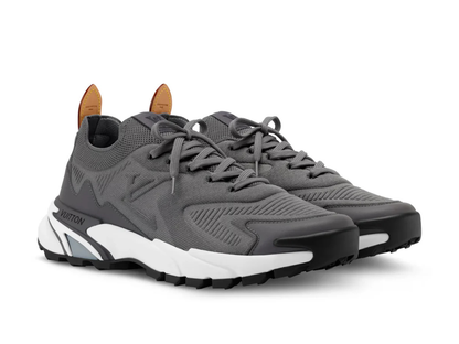 Louis Vuitton LV Runner Tatic Grey Sneaker